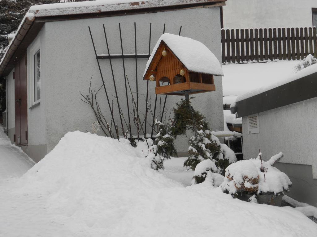 Ferienhaus Zittau Oberlausitz & Ferienwohnung Am Hamann Berg Exterior photo